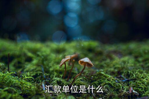 握手匯是什么公司，握手匯的免稅倉庫在哪里有多大面積