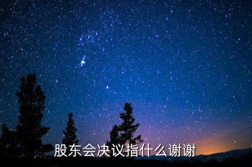 什么是股東會(huì)決議，有限責(zé)任公司決議叫股東會(huì)會(huì)決議那么國(guó)有企業(yè)決議應(yīng)該叫什
