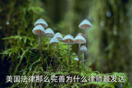 為什么美國賠償那么高，美國人為什么那么高