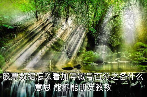 證券如何看漲停加減什么意思，漲停時(shí)買一后邊的數(shù)加減是什么意思