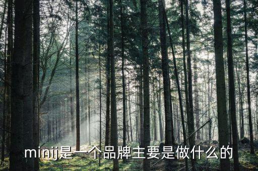 曹山石是干什么的，minij是一個(gè)品牌主要是做什么的