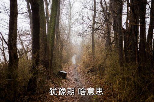 為什么規(guī)定猶豫期，猶豫期 啥意思