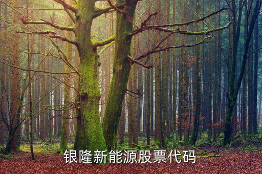 銀龍股份什么時(shí)候上市，銀隆新能源股票代碼