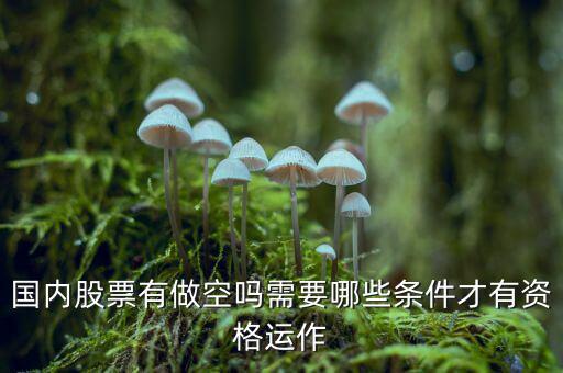 什么股票才可以做空，同花順里面有沒有可以做空的股票