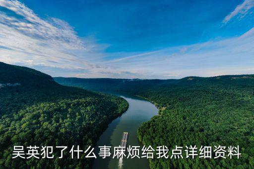 吳英什么案，吳英案到底是怎么回事
