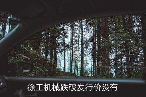 徐工機(jī)械什么時(shí)候復(fù)權(quán)，徐工機(jī)械何時(shí)復(fù)牌