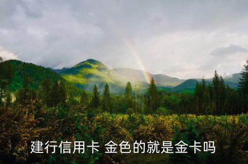 建設(shè)銀行信用卡什么卡種是金卡，我申請(qǐng)建設(shè)銀行的信用卡我申請(qǐng)的是金卡審核通過(guò)了上面寫的卡