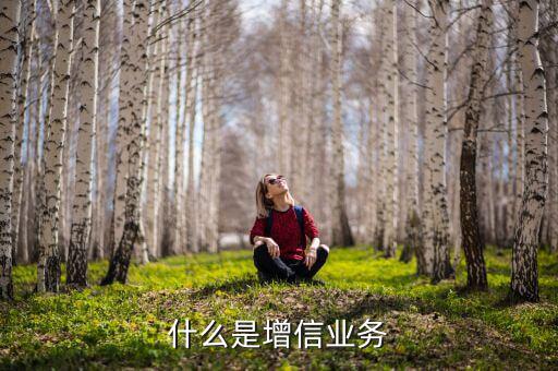 什么是增信服務(wù)，什么是增信業(yè)務(wù)