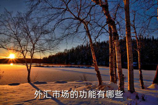外匯有什么用，外匯市場(chǎng)的功能有哪些