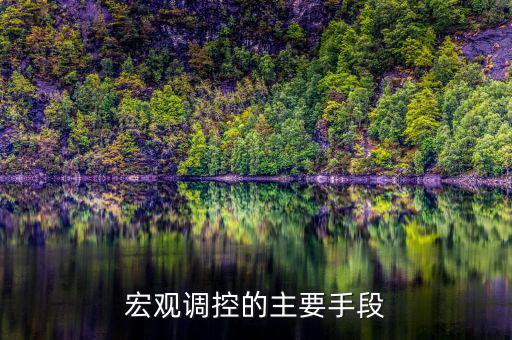 宏觀調(diào)控有什么手段，宏觀調(diào)控的主要手段
