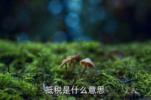 公司抵稅是什么意思，抵稅是什么意思