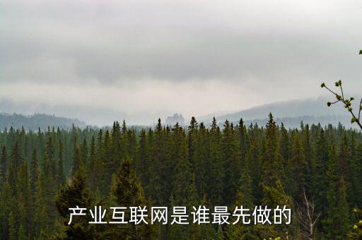 產(chǎn)業(yè)互聯(lián)網(wǎng)是什么龍頭，產(chǎn)業(yè)互聯(lián)網(wǎng)是誰最先做的