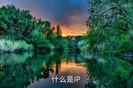什么是IP為王，什么是IP
