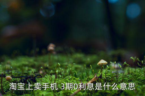 三零分期什么意思，淘寶上賣手機 3期0利息是什么意思
