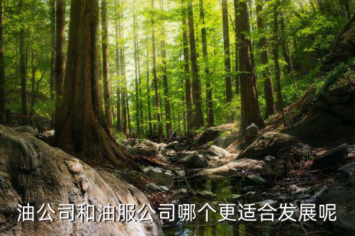 油服行業(yè)是什么，在油服公司做hr是做些什么