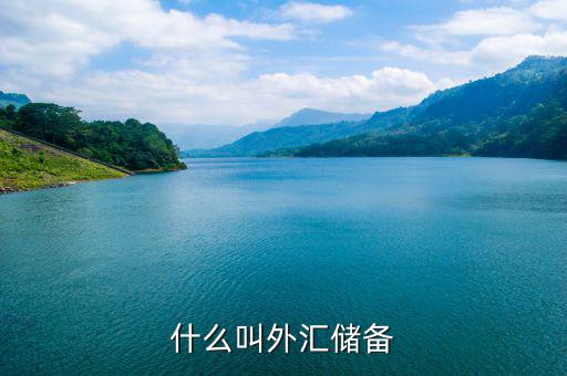 什么是外匯儲備，什么叫外匯儲備