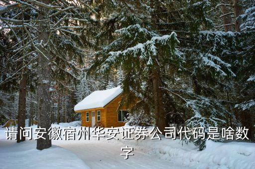 華安證券什么時(shí)間上市，請(qǐng)問(wèn)安徽宿州華安證券公司代碼是啥數(shù)字