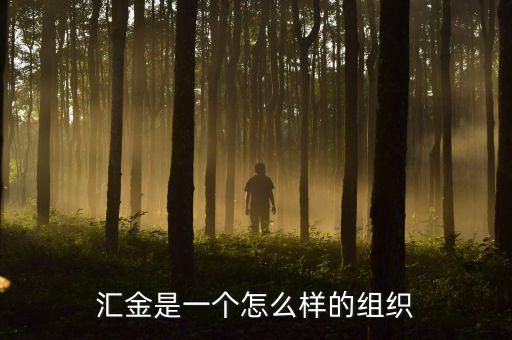 中央?yún)R金干什么的，匯金是一個怎么樣的組織