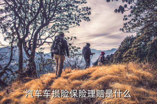 車損險(xiǎn)都賠什么，車損險(xiǎn)涉及到哪些賠償
