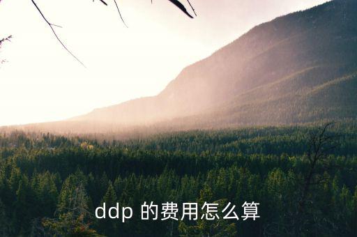 hmf是什么費用，請問DEMDDF是什么費用