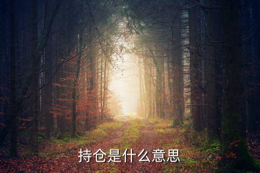 什么是買持倉，持倉是什么意思