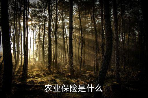傳統(tǒng)農(nóng)業(yè)保險(xiǎn)主要保什么風(fēng)險(xiǎn)，農(nóng)業(yè)保險(xiǎn)是什么