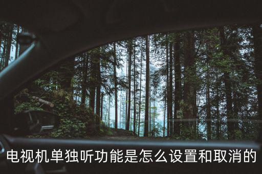 tcl電視單獨(dú)聽(tīng)什么意思，電視機(jī)單獨(dú)聽(tīng)功能是怎么設(shè)置和取消的