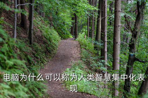 電腦為什么能夠做人工智能，電腦為什么可以稱為人類智慧集中化表現(xiàn)