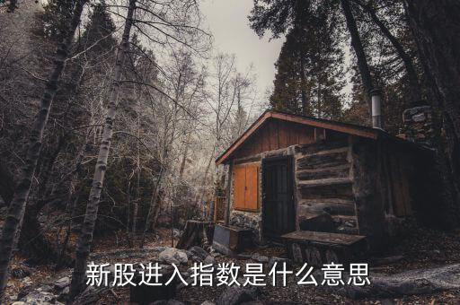 新指數(shù)是什么意思，新訂單指數(shù)是什么意思