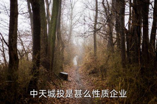 中天城投是什么概念，中天城投在這么些年的發(fā)展中涉及了哪些行業(yè)