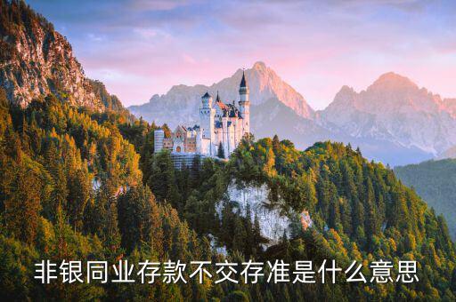 什么是非銀同業(yè)存款，什么是銀行同業(yè)存款