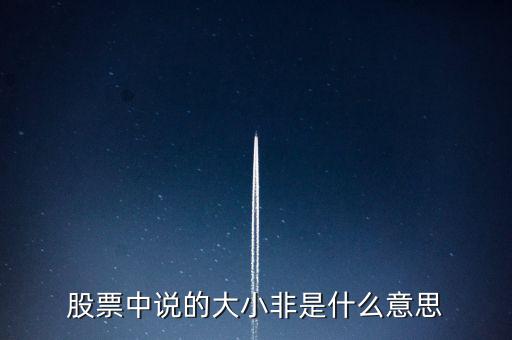 股市大小非是什么意思，股市中的大小非是指什么