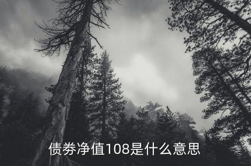 債券凈值是什么意思，債劵凈值108是什么意思