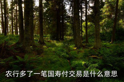 國壽交易是什么，農(nóng)行多了一筆國壽付交易是什么意思