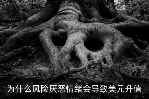 sdr和美元指數(shù)構成有什么關系，為什么A股和美元指數(shù)有關系