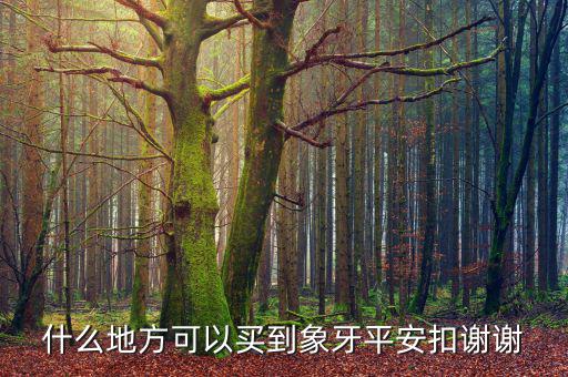 在日本什么地方買象牙制品，什么地方有批發(fā)象牙飾品的