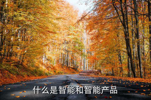 什么是智能產(chǎn)品，智能產(chǎn)品數(shù)碼產(chǎn)品電子產(chǎn)品它們有什么區(qū)別