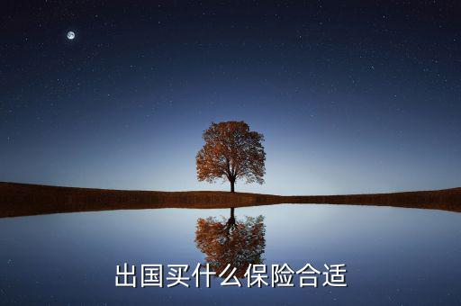 什么保險長期在國外有用，什么保險有去國外玩的保障啊
