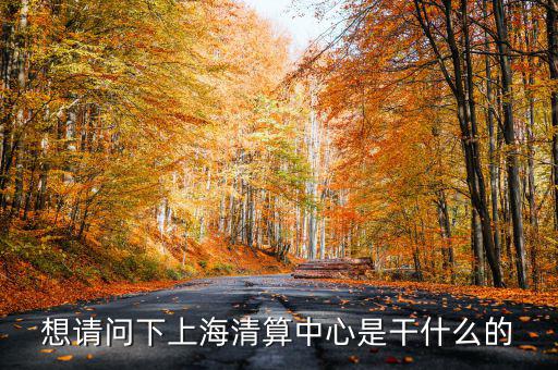 上海清算所做什么，想請問下上海清算中心是干什么的