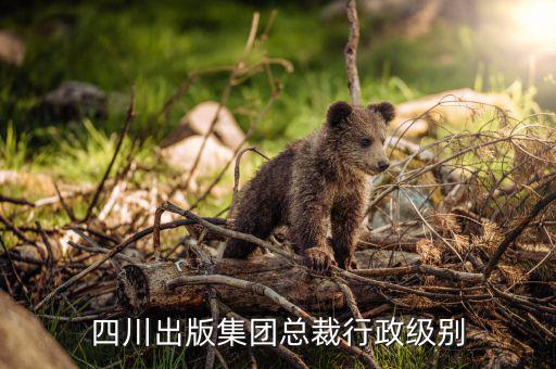 傅成玉總裁是屬于什么級(jí)別的，中石化總裁和中石化總經(jīng)理是同一個(gè)人嗎