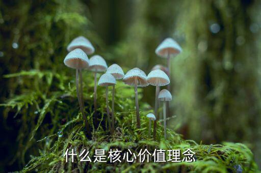 什么是核心價(jià)值理念，什么是核心價(jià)值理念