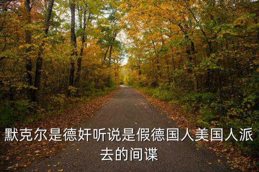 默克爾賭什么，默克爾是德奸聽說是假德國人美國人派去的間諜