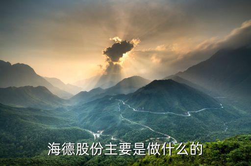 德力股份是干什么的，德國力斯集團以前主要是做什么的啊