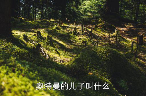 奧特佳老總兒子叫什么，奧特曼的兒子叫什么