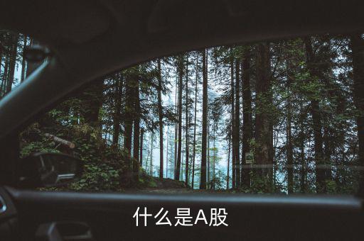 什么是a股和b股，什么是A股