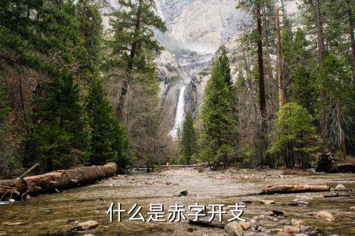 什么是赤字貨幣化，CMAT是什么