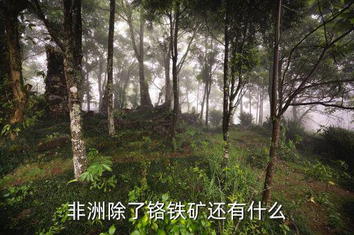 非洲有什么礦產(chǎn)資源，非洲哪些礦產(chǎn)豐富