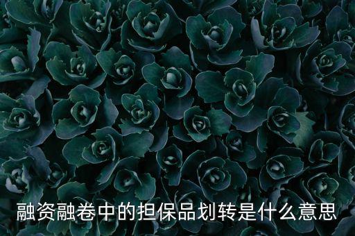什么是劃轉，劃撥轉賬是什么意思