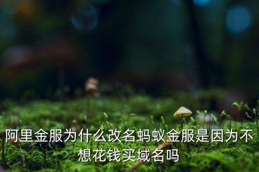 阿里金服為什么改名螞蟻金服是因?yàn)椴幌牖ㄥX(qián)買(mǎi)域名嗎