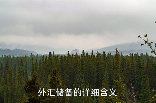 外匯儲(chǔ)備包括什么，外匯儲(chǔ)備指什么是用黃金或紙幣來(lái)儲(chǔ)備